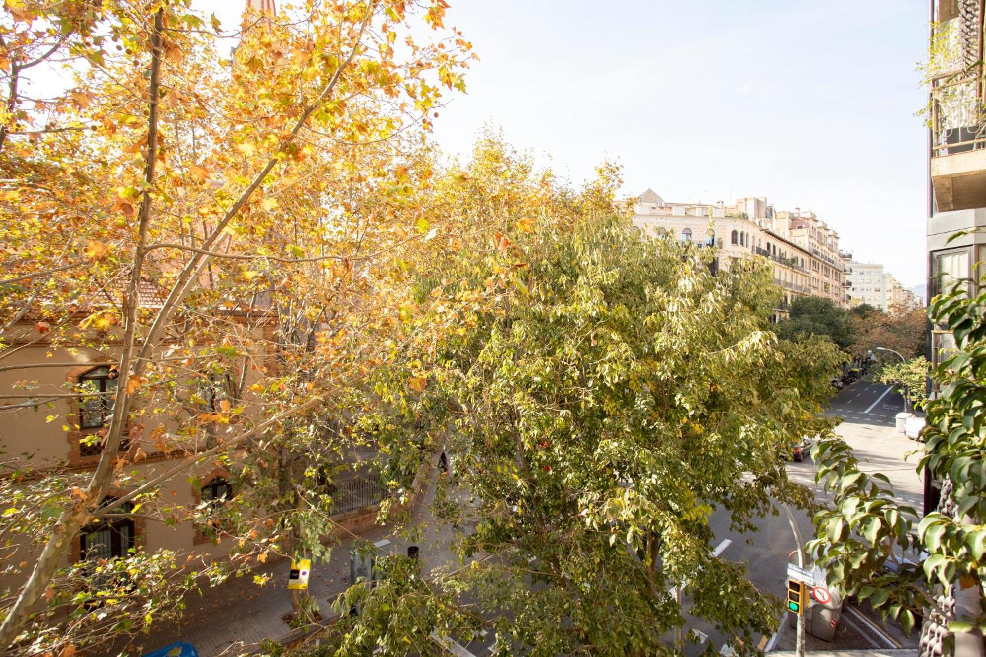 Radiant Vista Eixample